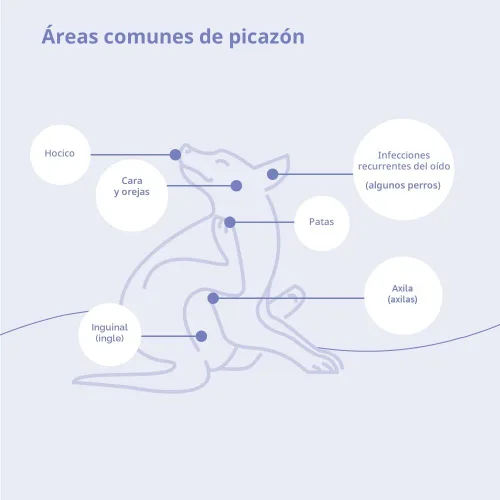 Vista 5 de MiconaHex+Triz Acondicionador en aerosol para perros, gatos y caballos, 8 onzas, transparente Antibiopelícula, hidratante; el embalaje puede variar
