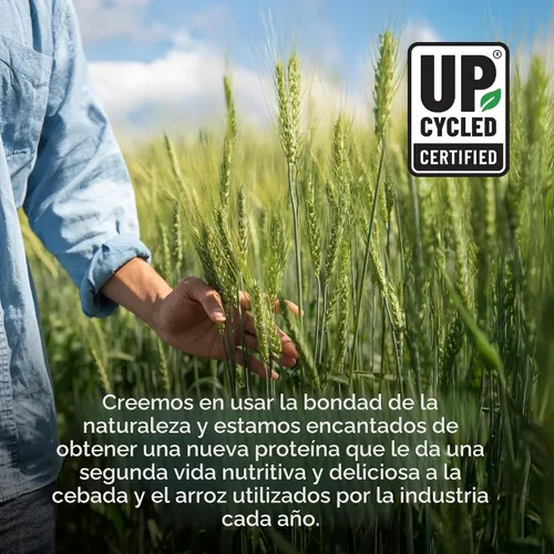Vista 6 de Garden of Life, Probióticos de cebada germinada con proteínas, chocolate, 24.41 onzas