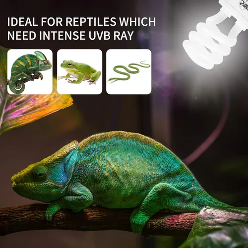 Vista 4 de LUCKY HERP Lámpara fluorescente compacta UVA UVB para reptiles 5.0, 13 W, lámpara tropical para terrario