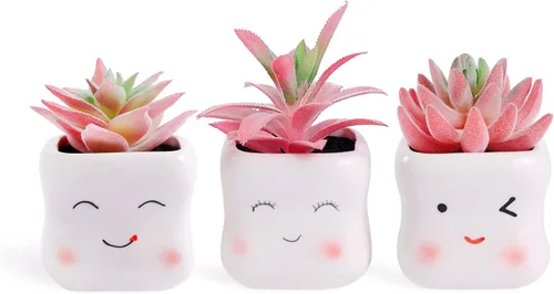 Vista 17 de Tiita Paquete de 4 Suculentas Artificiales Falsas en Macetas, Mini Plantas Falsas de Oro Rosa para Escritorio de Mujer, Pequeñas Suculentas Falsas