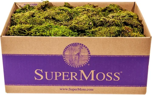 Vista 6 de SuperMoss (21743 Hoja de musgo pequeño (piezas pequeñas) conservadas, verde fresco, 2 onzas