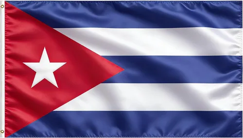 Vista 8 de Bandera de Estados Unidos, bandera de Estados Unidos, 3 x 5 pies, banderas ligeras de poliéster con 2 ojales de latón para decoraciones de fiestas