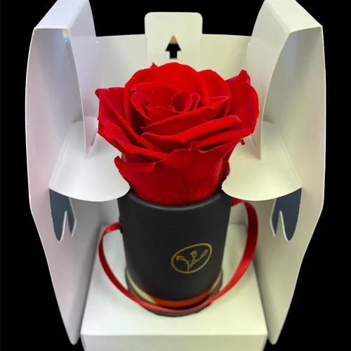 Vista 6 de Rosas preservadas auténticas 100% naturales, flores colombianas preservadas hechas a mano con aroma a rosa natural, perfectas para San Valentín