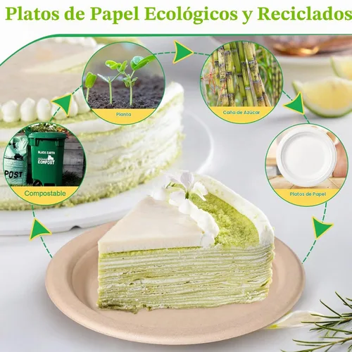 Vista 4 de Paquete de 300 platos de papel de 6 pulgadas, platos de papel