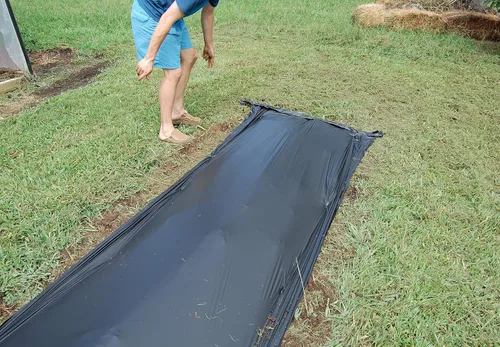 Vista 2 de Grower's Solution Mantillo de plástico verde de 4 pies x 50 pies - Cubierta de suelo - Cultivo de verduras - 1.0 mil en relieve