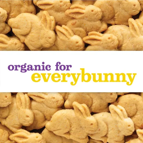 Vista 126 de Annie's Organic Chocolate Bunny Graham Snacks, 7.5 onzas