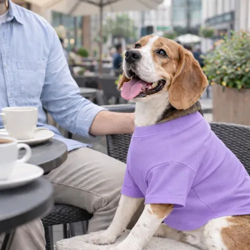 Vista 32 de Lovelonglong 2019 - Ropa para mascotas, Disfraces para Perro, Ropa Camisetas en blanco para Perros Grande Medianos Pequeños 100% Algodón 18