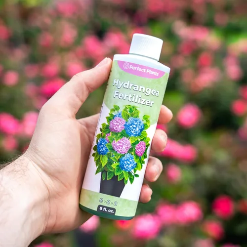 Vista 6 de Perfect Plants Fertilizante líquido prémium para hortensias Potenciador de floración Fertilizante para hortensias y otras plantas con flores
