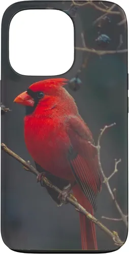 Vista 10 de Funda para iPhone 16 Cardinal Bird