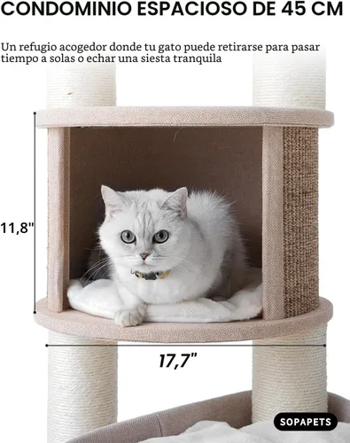 Vista 7 de Árbol para gatos extra grande para Maine Coon, torre de árbol para gatos de interior de 65 pulgadas de altura para gatos adultos grandes de 20