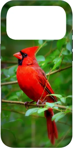 Vista 22 de Hermosa cardenal pájaro rojo escena de la naturaleza caso para iPhone 17