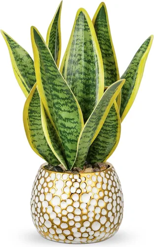 Vista 16 de Hollyone Planta de serpiente falsa de 12 pulgadas, pequeña planta de serpiente artificial en maceta con maceta de cerámica, planta Sansevieria
