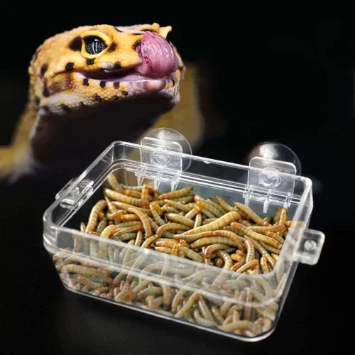 Vista 4 de Comedero para reptiles, anfibios, reptiles, antiescape, cuenco de comida transparente, ventosa, gusano, cuenca de alimentación para serpientes