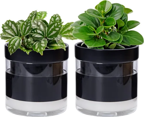 Vista 19 de Phoenix Vine Maceta de riego automático de 4 pulgadas, maceta de arcilla de terracota con depósito de vidrio para plantas de interior, hierbas