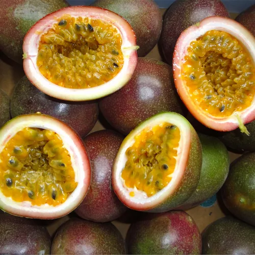 Vista 3 de CarpetC - Más de 50 semillas de maracuyá para plantar, fruta dulce de crecimiento rápido para el jardín del hogar