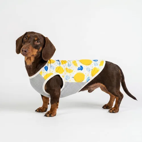 Vista 5 de Fitwarm Paquete de 2 camisas para perro con protección solar UV UPF 50+, chaleco ligero refrescante para perros, ropa de verano de secado rápido