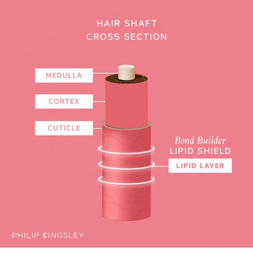 Vista 5 de PHILIP KINGSLEY Bond Builder Lipid Shield Tratamiento restaurador de aceite capilar para cabello seco y dañado Hidratante capilar protector