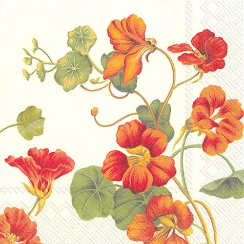 Vista 5 de Celebrate the Home - Servilletas florales de papel de 3 capas, flores, 20
