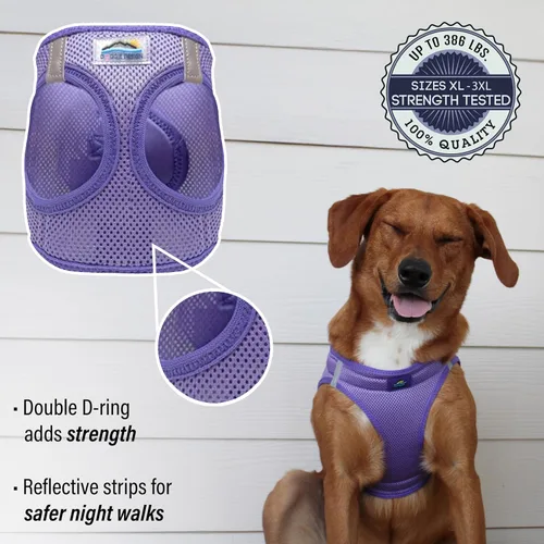 Vista 3 de Doggie Design Arnés para perro – Arnés sin estrangulamiento para mascotas, chaleco para perro, malla de poliéster, diseño simple, chaleco