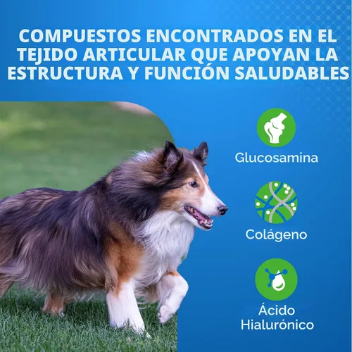 Vista 3 de Nutramax Laboratories Cosequin Elements - Suplemento para la salud de las articulaciones del perro con glucosamina, mejillón de labios verdes