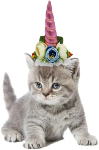 Vista 9 de Disfraces de Halloween para gatos, organizador de cambiador, disfraz de gato, linda gorra para mascotas, diadema divertida para mascotas, accesorios