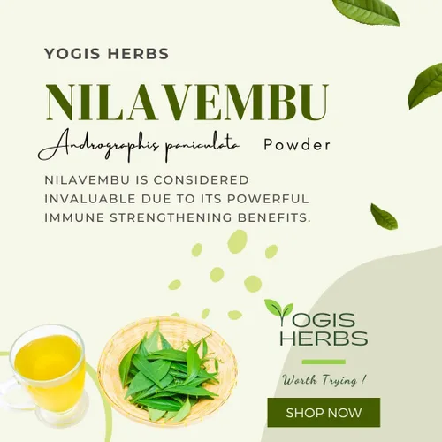 Vista 9 de YOGIS HERBS Polvo de Nilavembu - Andrographis paniculata/Kalmegh/King of Bitters - Hierba tradicional Tamil Siddha para el bienestar diario
