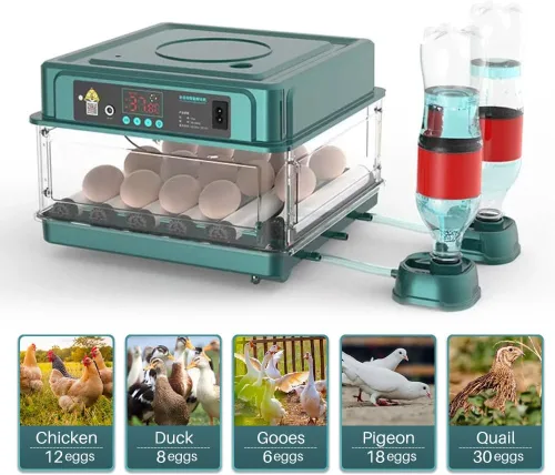 Vista 6 de Incubadora automática de huevos de 12 a 38 huevos digital con giro automático de huevos, control de temperatura y humedad, iluminación LED eficiente