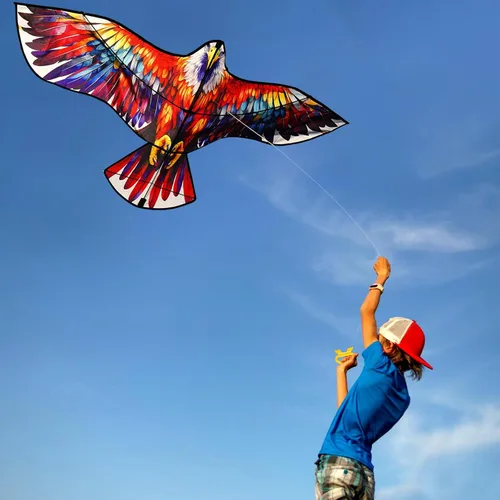 Vista 4 de HENGDA KITE Cometa de águila, para niños y adultos, fácil de volar, excelente diseño de tela y estructura, las imágenes son hermosas en alta