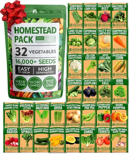 Vista 177 de HOME GROWN Bachelor Button Tall Mix 700+ Semillas de flores Centaurea