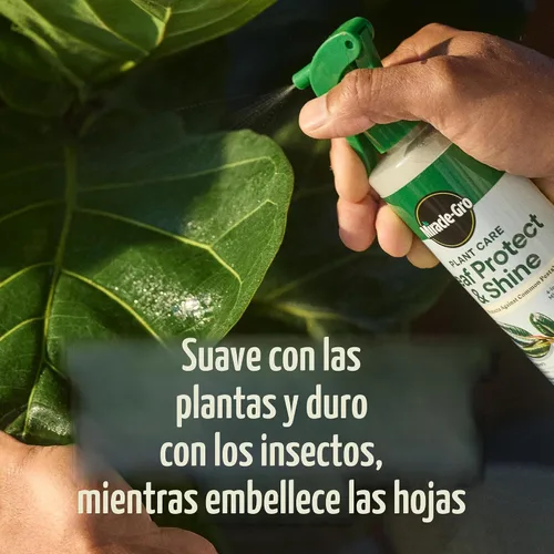 Vista 10 de Miracle-Gro Paquete de cuidado de plantas de interior para cultivar