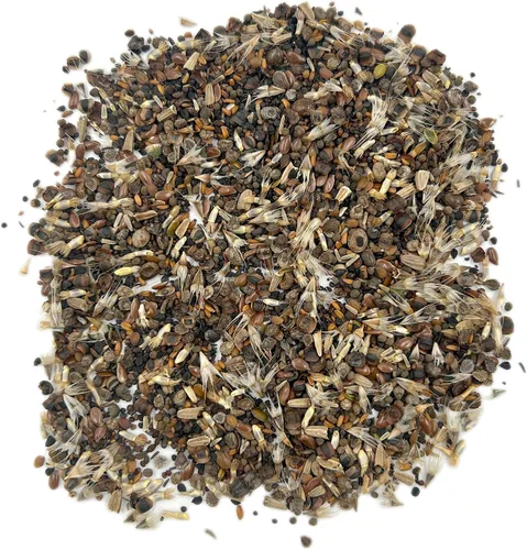 Vista 6 de Ferry Morse Mezcla para Todo Propósito Sol-Sombra a Granel Semillas de Flores Silvestres, 1 lb