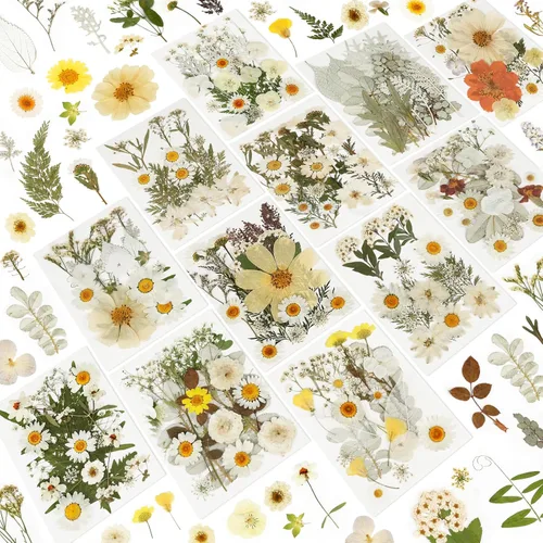 Vista 9 de Flores secas prensadas para resina, 103 piezas de flores secas naturales