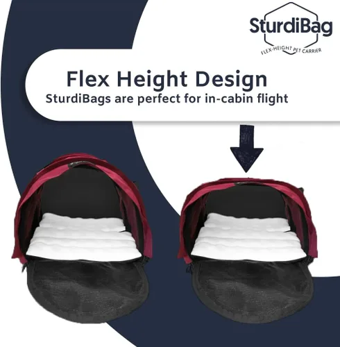 Vista 6 de SturdiBag XL - Transportador de viaje para mascotas: altura flexible para gatos y perros, lados suaves con clips de seguridad y correas