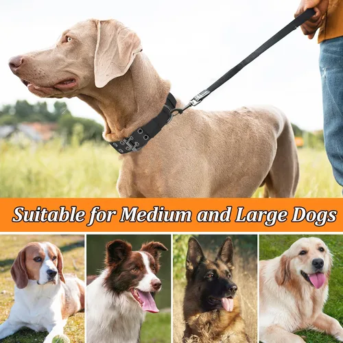 Vista 5 de Collar táctico para perro, collar militar ajustable de nailon para entrenamiento, hebilla de metal resistente, collares tácticos para mediano y Negro