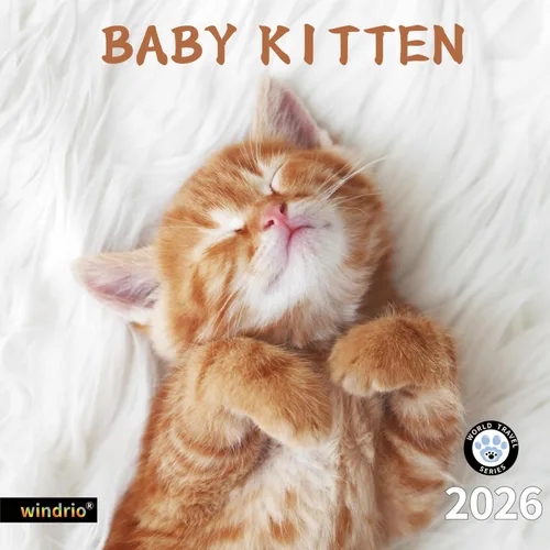 Vista 15 de Calendario de pared 2026, Calendario divertido 2026, noviembre de 2025 - diciembre de 2026, calendario de pared con memes divertidos de animales, 12