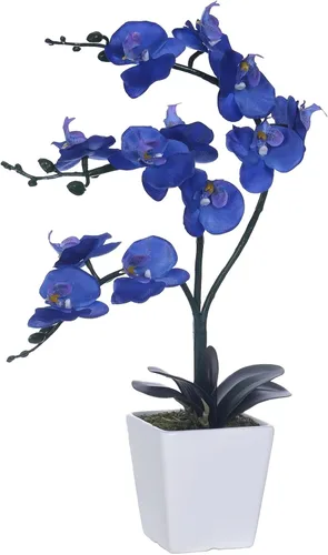 Vista 17 de Arreglos de macetas de plantas de flores de orquídea Phalaenopsis de seda artificial de 15 pulgadas de alto (verde manzana)