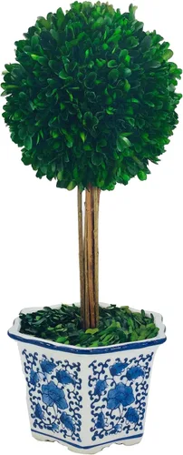 Vista 3 de Galt International Topiarios de boj preservados naturalmente en maceta de cerámica azul y blanca, bola de 11 pulgadas y topiario de árbol de 19