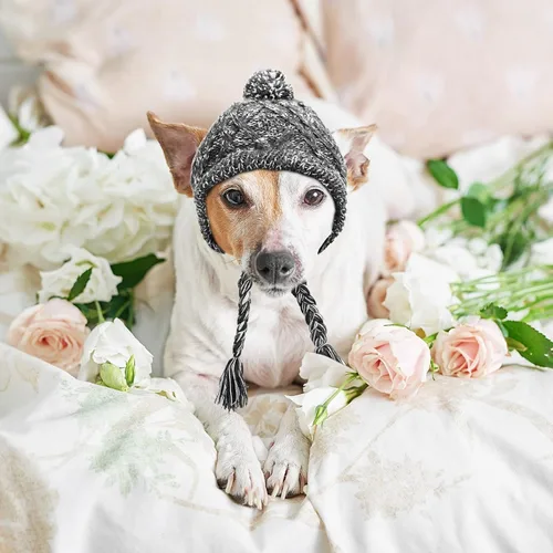 Vista 6 de Weewooday Gorro de invierno para perro, 2 piezas, cálido, con pompón, gorro de punto para perro con agujeros para las orejas, gorro de punto