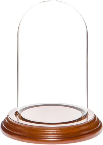 Vista 6 de Plymor Cúpula de exhibición de cristal de 3 "x 5" (base de madera MDF negra)