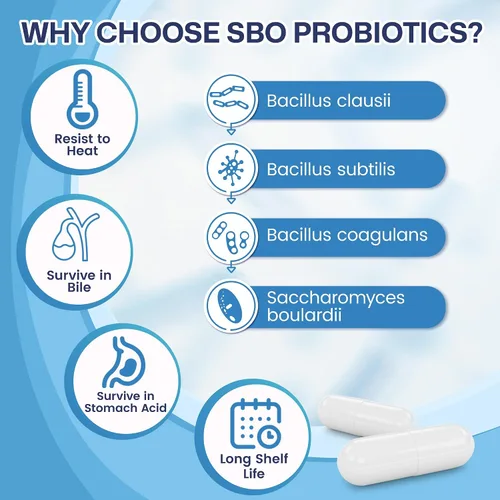 Vista 4 de NNATURE Target Probióticos para mujeres y hombres, 60 mil millones de UFC, prebióticos y probióticos para la salud intestinal - Probióticos SBO que