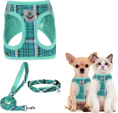 Vista 33 de PUPTECK - Arnés, collar y correa ajustables, sin tirones, para perros pequeños y medianos, cachorros y gatos, pechera reflectante acolchada de malla