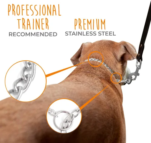 Vista 4 de Mighty Paw Collar deslizante. Collar de acero inoxidable de alta calidad. Fuerte, duradero, a prueba de clima, resistente al deslustre. Collar