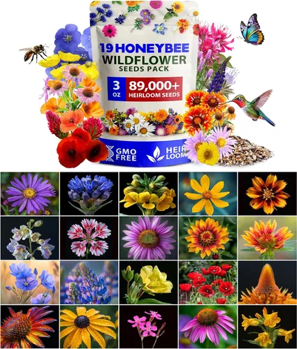 Vista 17 de HOME GROWN - 49 000 semillas de flores silvestres, mezcla a granel, 2 onzas, 21 variedades de mezcla de flores silvestres, para atraer abejas