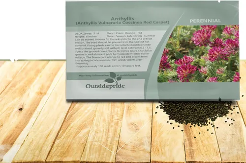 Vista 8 de Outsidepride 100 semillas perennes de flores rojas Anthyllis semillas de cobertura del suelo para plantar