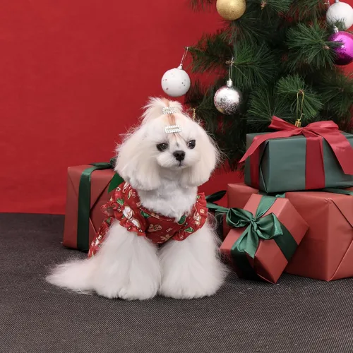 Vista 8 de CuteBone Vestido de Navidad para perro, falda de doble capa, traje de gato, ropa para perros pequeños, disfraz de cumpleaños, DR29L