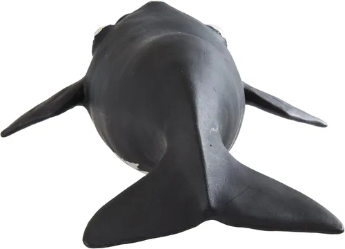 Vista 4 de Safari Ltd. Figura de ballena derecha – Figura detallada de modelo de plástico de 9.25 pulgadas – Divertido juguete educativo para niños, niñas