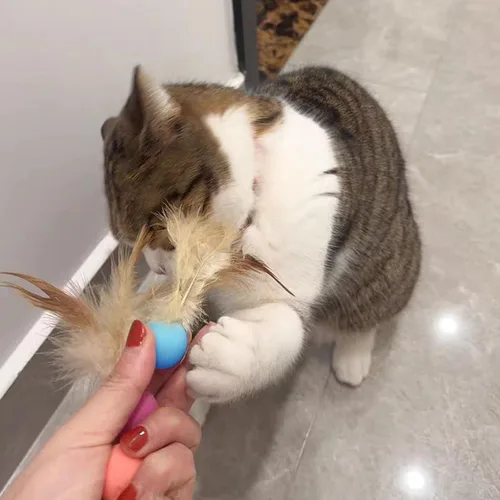 Vista 7 de Pelotas de juguete para gatos con plumas, 3 pelotas interactivas para gatos de interior y gatitos juguetones, juguetes de goma