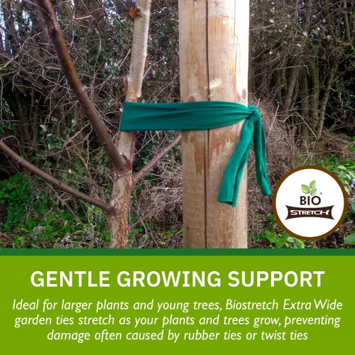 Vista 3 de Lazos Suaves Extra Anchos para Árboles - Soporte Fuerte y Elástico para Plantas Grandes y Árboles Jóvenes - Cinta Verde de Jardín Cortada a Medida