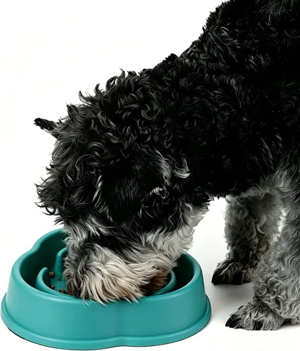 Vista 4 de Cuenco para perro de alimentación lenta, alimentador interactivo para rompecabezas de laberinto, plato antideslizante antiasfixia para perros