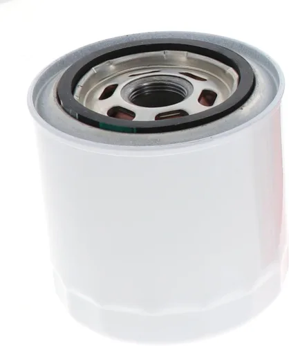 Vista 2 de Filtro de aceite para válvula de silicona FL820S de Motorcraft